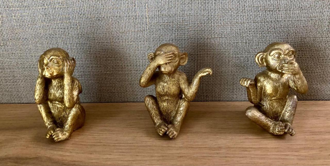 Studio Klein Schoorl Ngoại thất bức ảnh